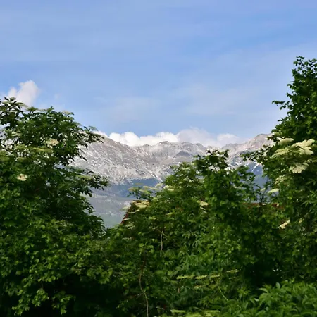 Jang Tolmin