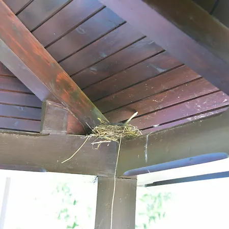 Apartman Jang Tolmin