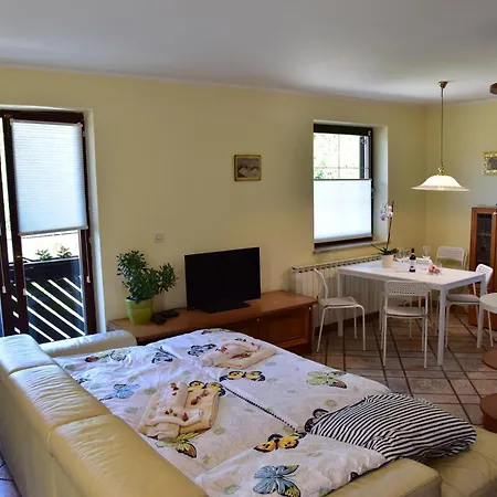 Appartement Jang Tolmin