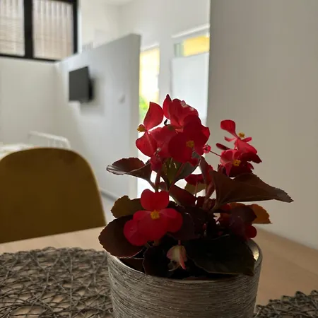 Jang Apartment *