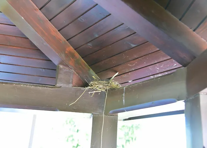 Appartamento Jang Tolmin